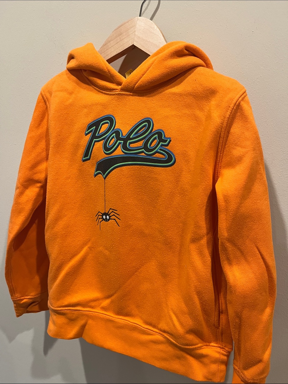 Polo by Ralph Lauren Kids Orange Hooded Sweatshirt with Spider Graphic